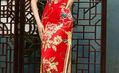 丁丁 一夜成屌丝